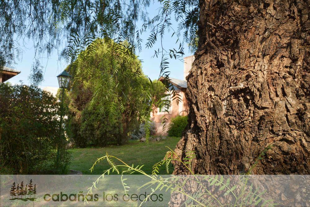 מלון טאנטי Cabanas Los Cedros מראה חיצוני תמונה
